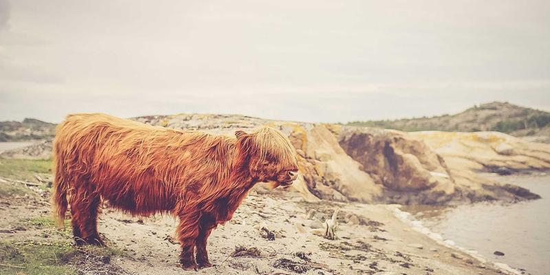 穿越周期的力量：金路基金历史业绩深度解析与未来投资展望