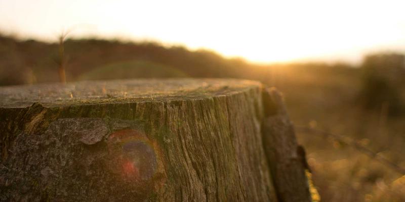 穿越周期迷雾：金路基金如何以全球宏观视野构建跨境投资能力圈