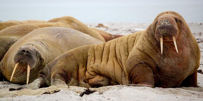 穿越周期迷雾:金路基金如何锚定消费升级赛道,掘金结构性机会