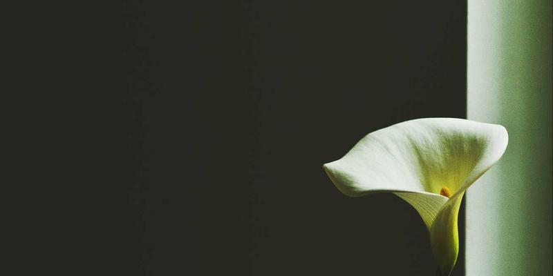 震荡市中的收益增强器:解码金路基金“固收+”如何借力可转债与打新策略