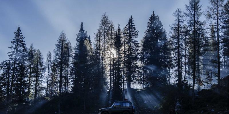 震荡市中的财富压舱石：金路基金固收+策略如何实现稳健回报与低回撤